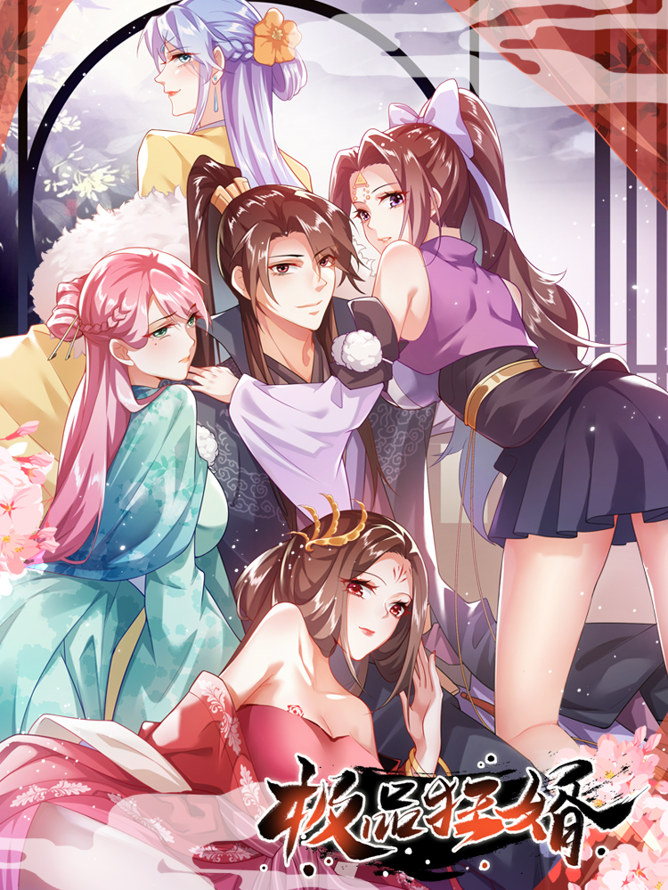 极品狂婿漫画