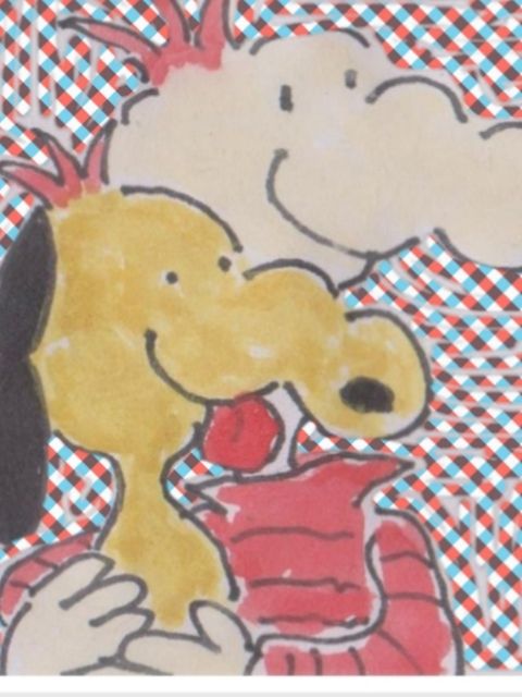 宠物最有理漫画