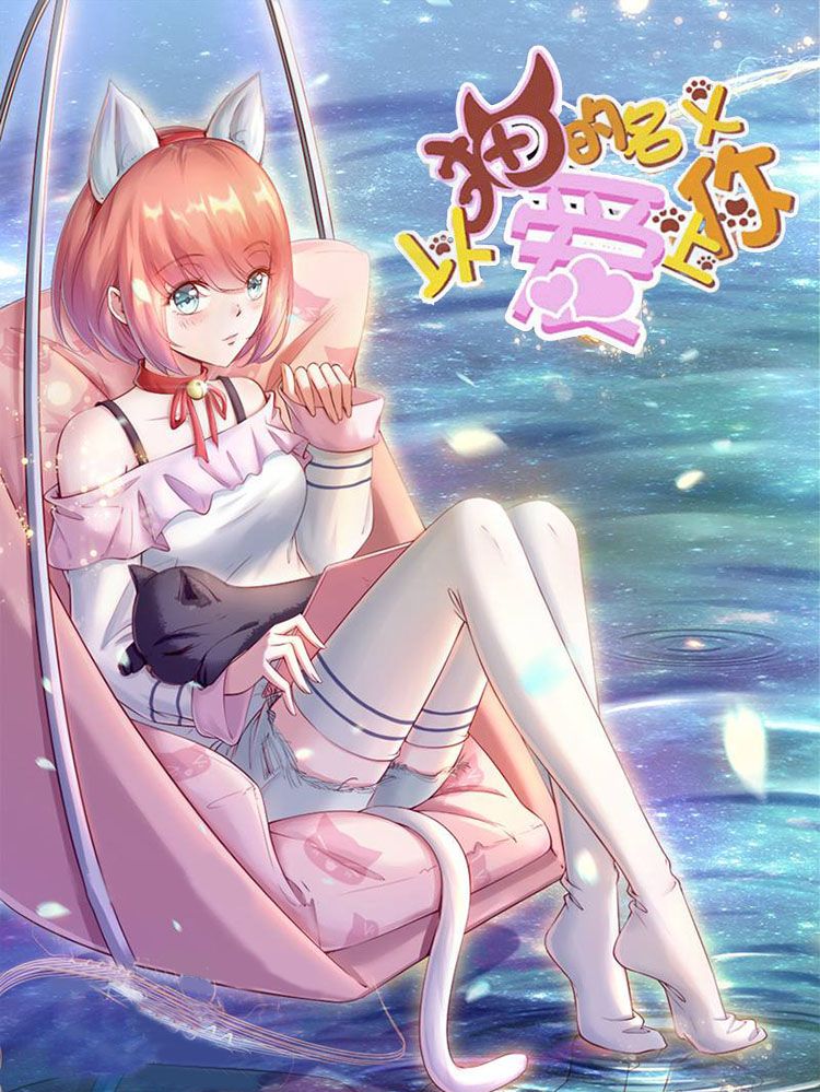 以猫的名义爱上你漫画